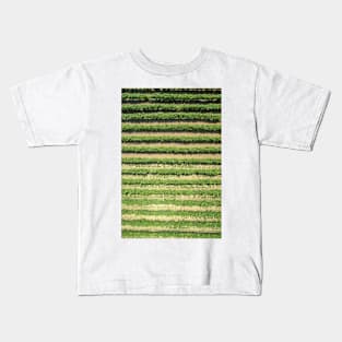 Grapevines, Greece (C036/9232) Kids T-Shirt